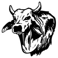 COW005