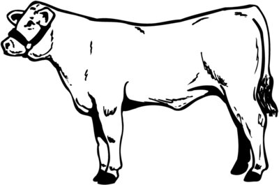 COW017