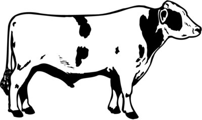 COW020