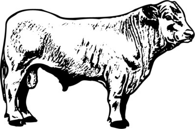 COW023