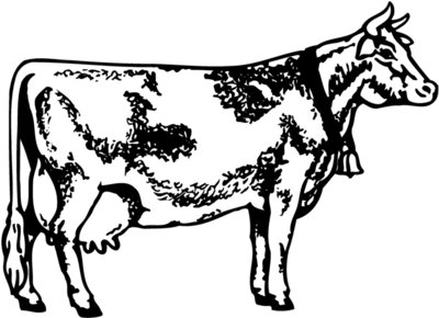 COW031