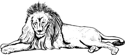 LION008