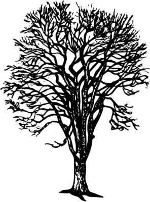 TREE0022